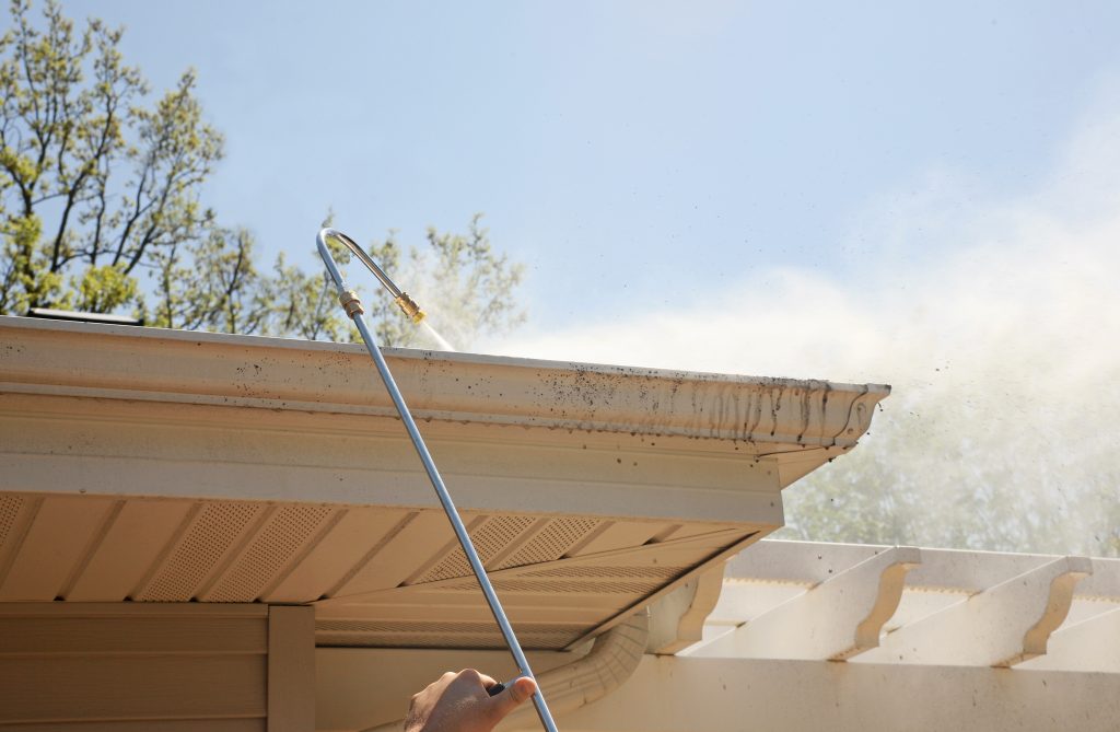 Gutter Cleaning